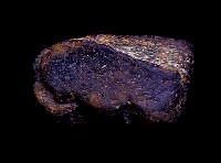 藏品(肢骨碎塊)的圖片